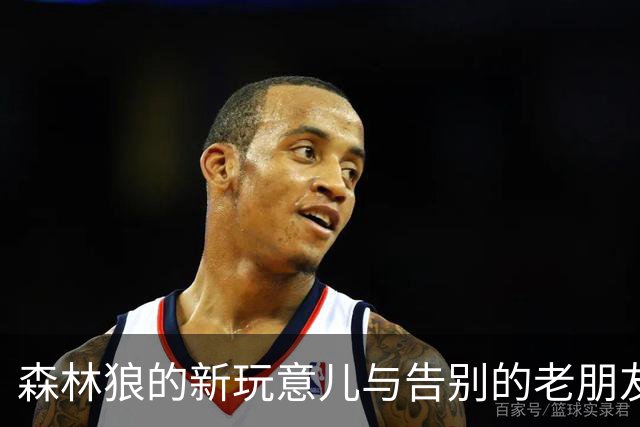 森林狼的新玩意儿与告别的老朋友！